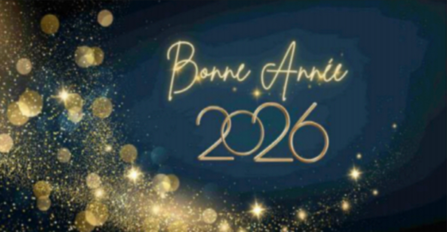 Toute l’équipe de « Agissons Ensemble pour Saint Genis » vous souhaite une très belle fin d’année et un bon réveillon.